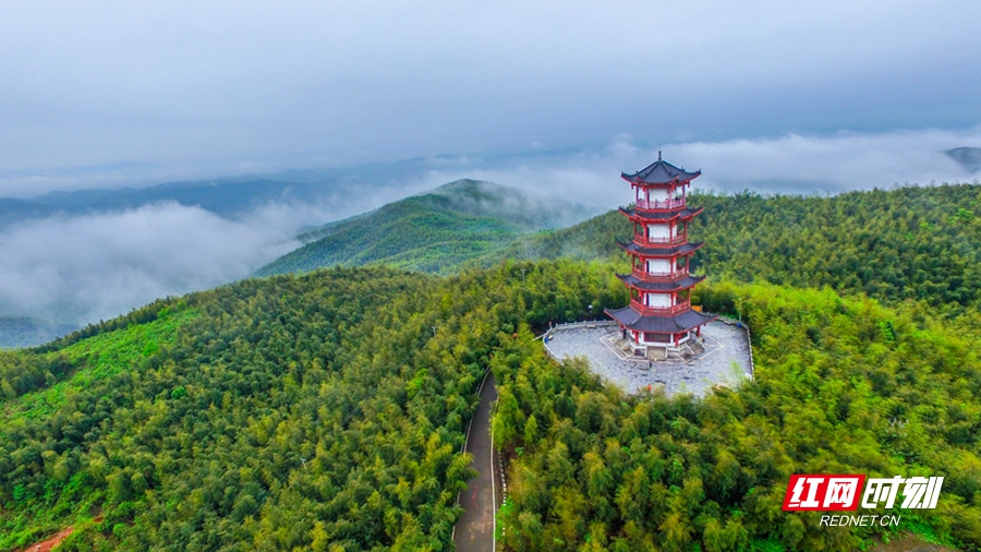 蔡伦竹海风景区，现为国家AAAA级旅游景区、国家水利风景区、全国竹林之乡、湖南省风景名胜区、湖南省森林公园和湖南省文明景区.jpg