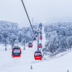 “双11”冰雪旅游囤完就约 飞猪部分滑雪套餐预约火热