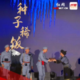 优秀红色微短剧展播丨《种子稀饭》：一碗稀饭映初心，军民同心鱼水情