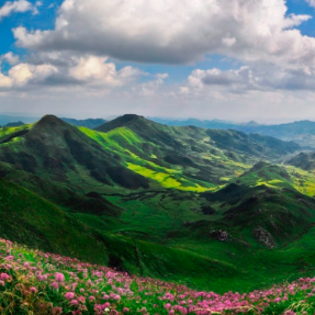 这边的风景21℃，贵州毕节喊长沙人民去避暑