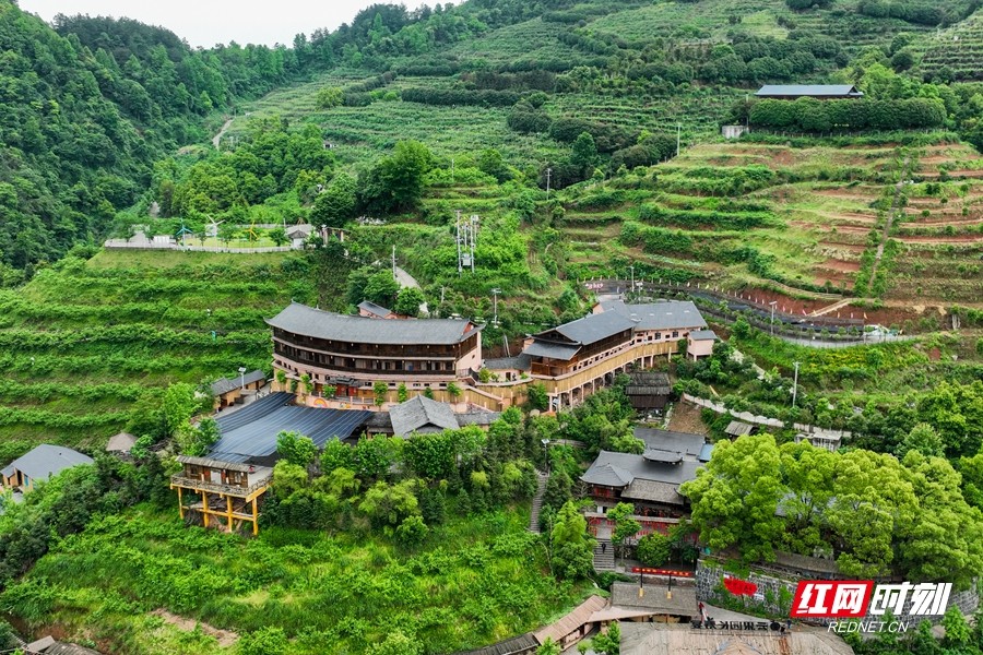 霞飞云果园 (5).jpg