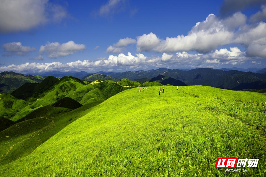 桂东万洋山相思大草原.png