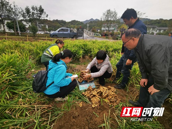 微信图片_20211113110917.marked.jpg