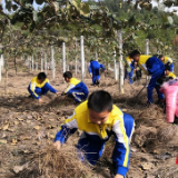 永顺：芙蓉镇保坪小学落实“五项管理”见成效