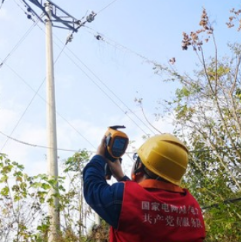 国网泸溪县供电公司：发挥党建引领 保障可靠供电