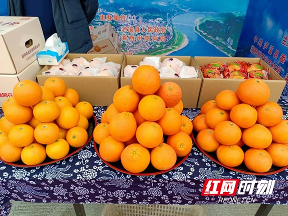 图片6.marked.jpg