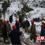 国网保靖县供电公司：风雪立杆保供电