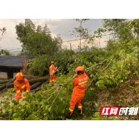 龙山：这群“光头强”砍伐近一吨树木却赢得阵阵掌声