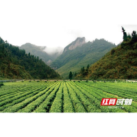 从“牛角山”创建省级环境教育基地引发的几点思考