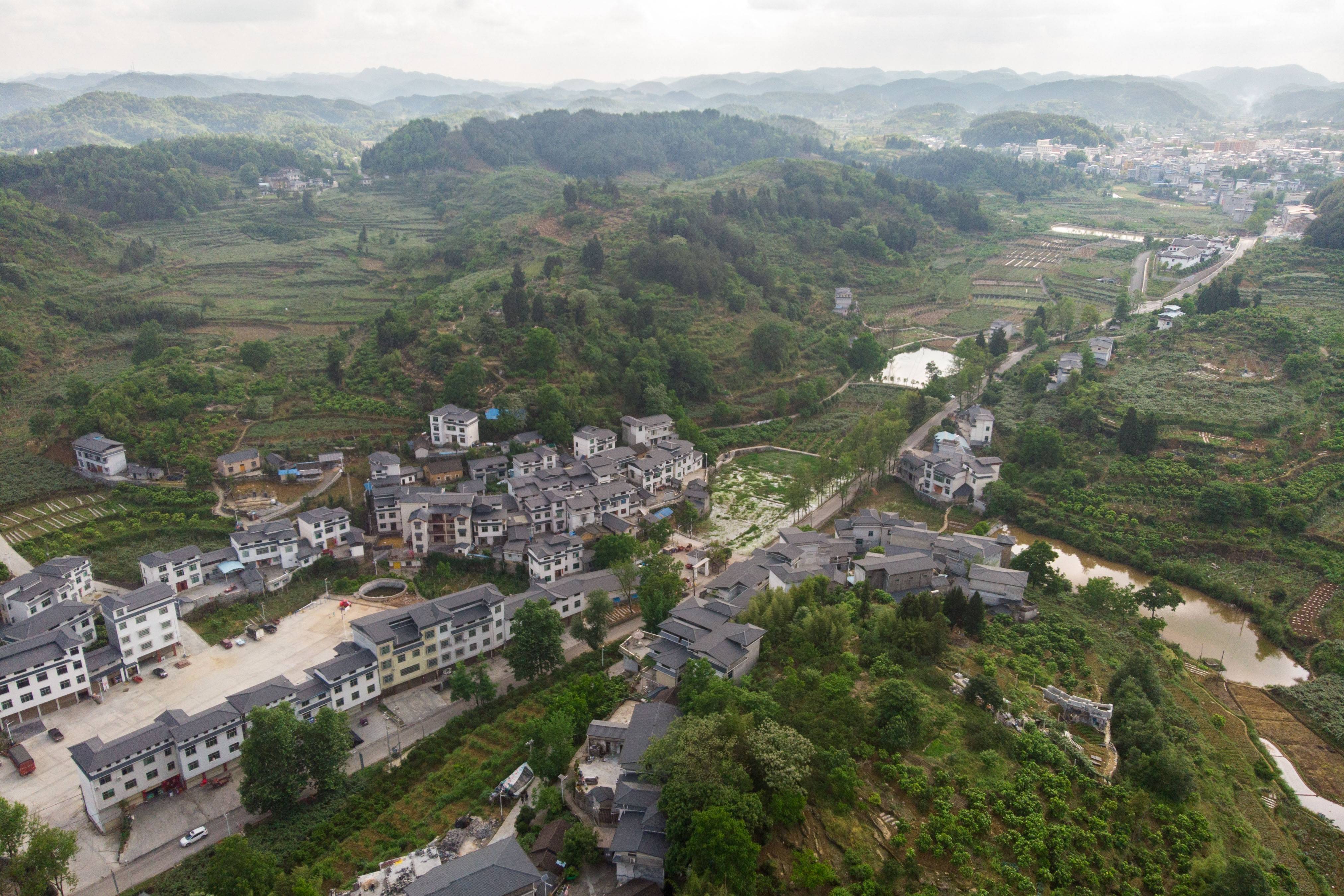 ta改变了我丨科技助农的先行者丁青青