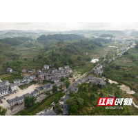 TA改变了我丨科技助农的先行者丁青青