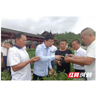 湘西州幼龄茶园培管第一期技术培训会在花垣举办