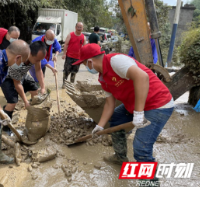 龙山县水利局做好灾后重建工作  助力洛塔乡恢复生产生活秩序