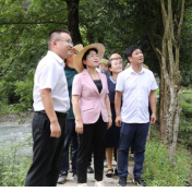 保靖：唱圣山经做茶文章打康养牌 打造茶旅融合的“保靖黄金茶农业小镇”