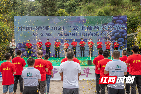 图片1.marked.png