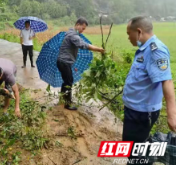 湘西州启动防汛IV级应急响应 全力迎战新一轮强降雨