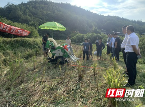 湘西州农机事务中心：主题党日进田间 心系百姓促振兴