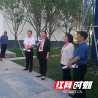 龙山：县长牵头现场督办污水直排 沿河两岸草绿水清有了保障
