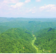 泸溪小章乡：绿水青山育出羊肥牛壮好产业