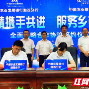 农发行湘西州分行与农行湘西州分行签署全面合作协议