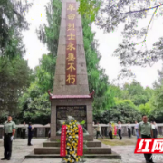 保靖：举行“烈士纪念日”公祭活动