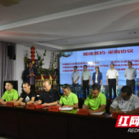 湘西永顺县2021年第五届猕猴桃开园节开幕 线上销售近亿元