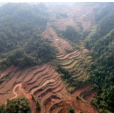 泸溪县白羊溪乡：复垦荒地种烟忙 荒山变身“聚宝盆”