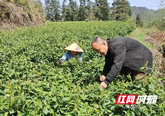 图片1.marked.jpg