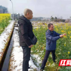 泸溪县农业农村局积极防范应对低温雨雪天气