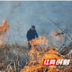 凤凰：腊尔山警民联手迅速扑灭一起山火