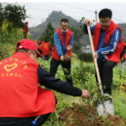 吉首大学师范学院开展义务植树活动