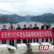古丈：一亿粒银鱼卵“落户”栖凤湖