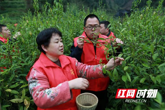 图片5.marked.jpg
