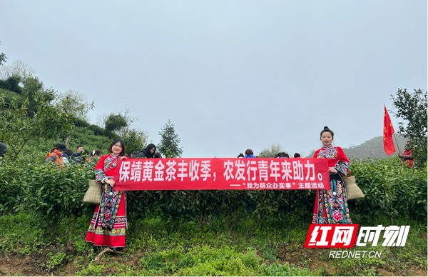 图片4.marked.jpg