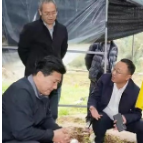 宋宗江到吉首调研乡村振兴及农业生产相关工作