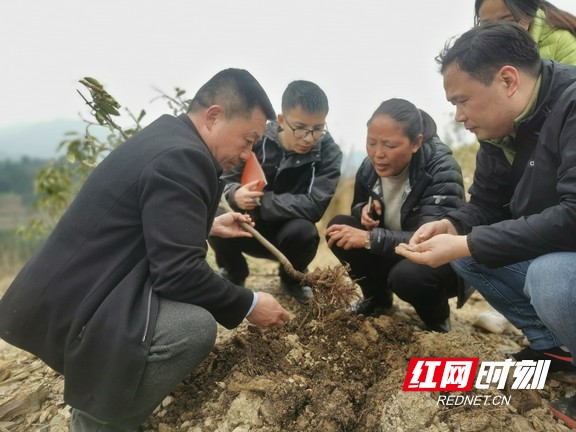 图片1.marked.jpg