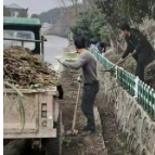 凤凰县菖蒲塘村：高效推进 树立人居环境整治标杆