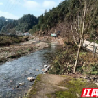 保靖：茶农打扫“屋子”迎茶商 文明新风吹进富美茶村