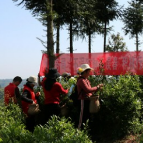 湘西州商务局开展“不误农时不误春 积极行动助采茶”志愿服务活动