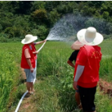 湘西州水利局开展“千名水利干部到田间”行动 全力抗旱保民生