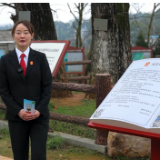 视频丨古树有了“护身符”！湘潭发布首份司法保护令