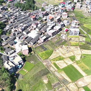 宜章县天塘镇笠头村：“秋冬种”战鼓擂 蔬菜基地种植忙