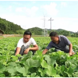 嘱托在心中⑬｜迎难而上 加压实干