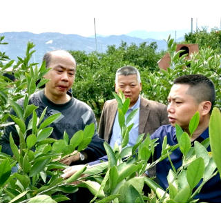 农民“点单” 专家“配菜” 资兴技术“大礼包”送到田间地头