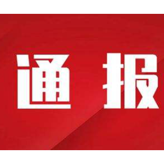 郴州市通报十大“红旗项目” 十大“蜗牛项目”