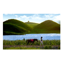 海报丨五一跟我走！郴州就“go”了