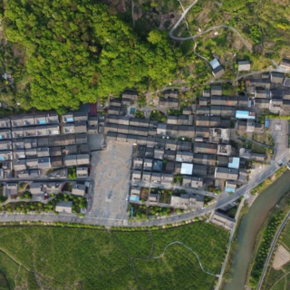 沙洲日记｜人居环境整治“动”起来 沙洲品牌“靓”起来