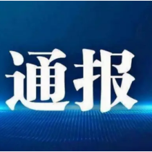 引以为戒！郴州新闻发布会通报了这些典型案件！