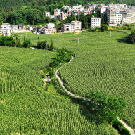 汝城县濠头村：遍地玉米日子甜