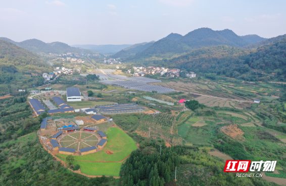 “喜迎二十大·倍增看变化”② | 北湖区下凤村：找准着力点 培育“新动能”发展壮大村集体经济